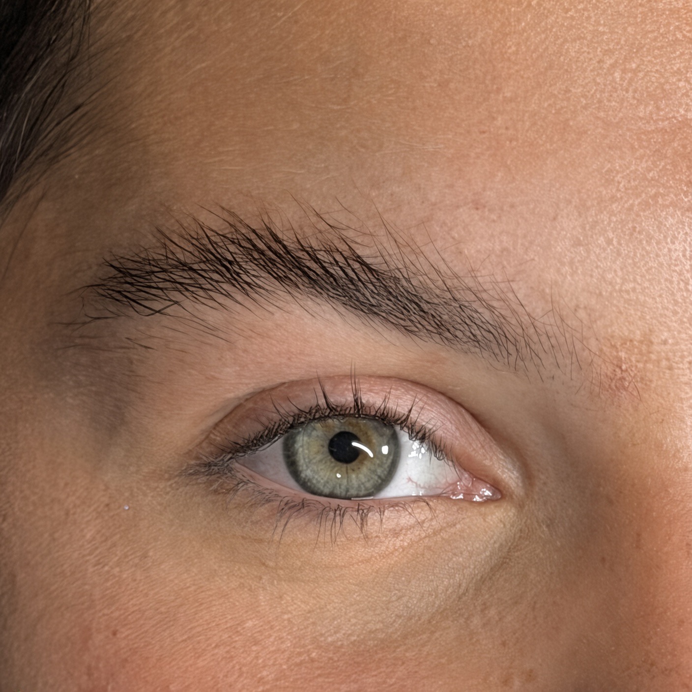 Brows and lashes before lamination and lifting